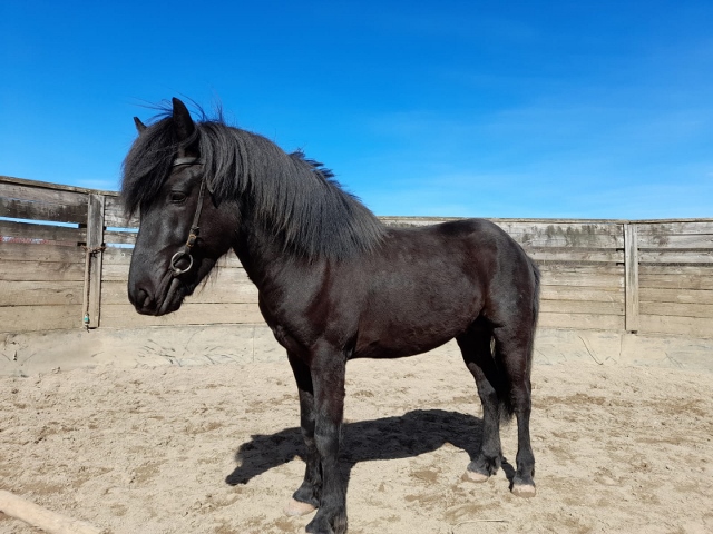 Rappe Naddur vom Berghof